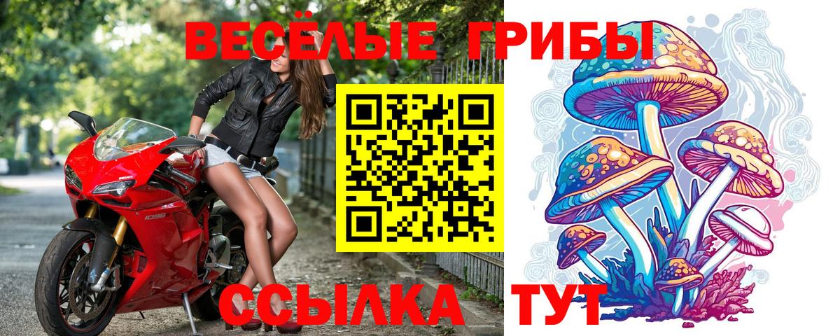 закладка  Вход с VPN  Сегежа  Псилоцибиновые грибы Cubensis 