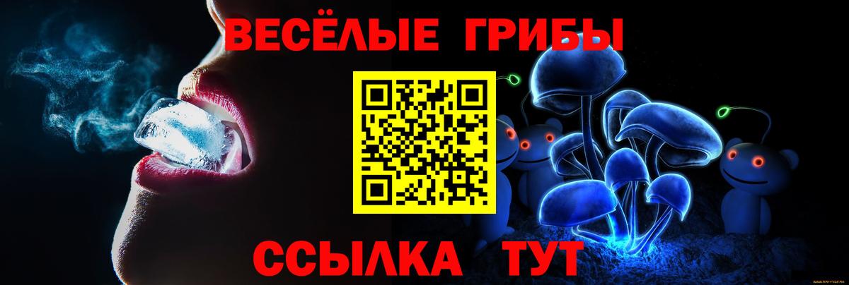 Галлюциногенные грибы Psilocybine cubensis Сегежа